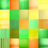 bambus v pozdně odpoledním slunci