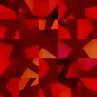 tmavě červená růže